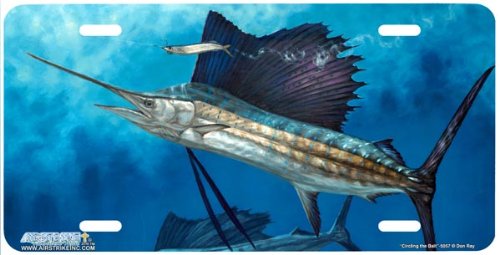 5057-Circling the Bait-Sailfish Fish License Plate Car Auto Novelty Front Tag by Don Ray from Airstrike Frames Airstrike 5057