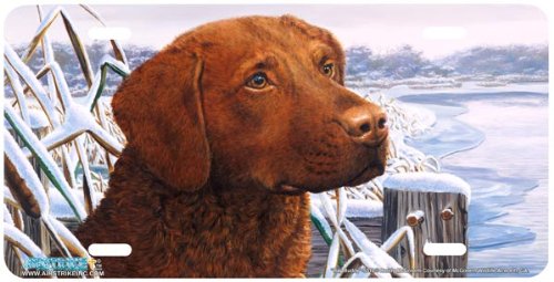 5312-Bay Buddy Chocolate Labrador Dog License Plate Car Auto Novelty Front Tag by Randy McGovern from Airstrike Frames Airstrike 5312