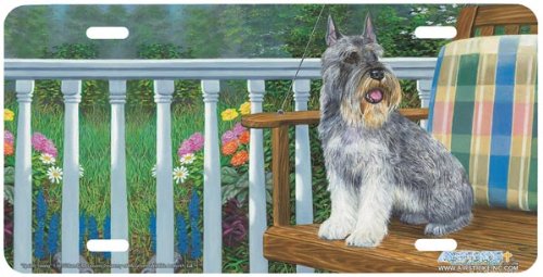 Frames Airstrike 5385