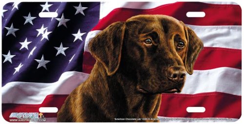 5395-American Chocolate Lab Dog License Plate Car Auto Novelty Front Tag by Randy McGovern from Airstrike Frames Airstrike 5395