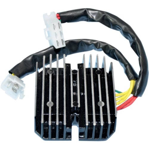 Regulators Rick'S Motorsport Electric 10-120H