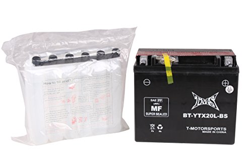 Batteries TMS $YTX20L-BS