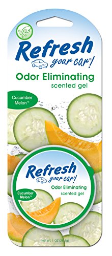 Solids & Liquids Refresh Your Car 09925