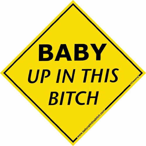 Bumper Stickers, Decals & Magnets Daaaang!, Inc. 