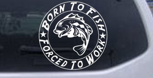Bumper Stickers, Decals & Magnets Rad Dezigns 6in X 6.0in_White_10496_20