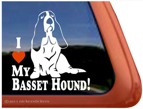 Bumper Stickers, Decals & Magnets NickerStickers DC515HEA
