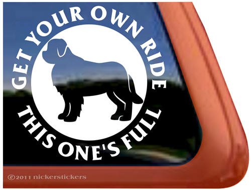 Bumper Stickers, Decals & Magnets NickerStickers DC563FR