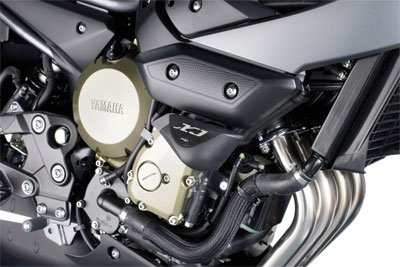 Frame Guards Puig 561-3340BK