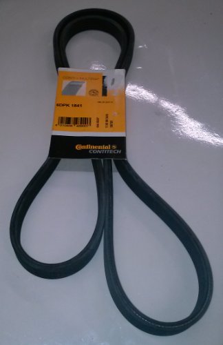 Serpentine ContiTech VS4448307305