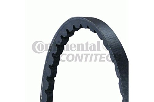 V Belts Continental Elite 10X1100