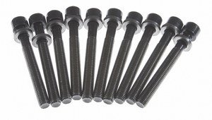Victor Reinz GS33406 Cylinder Head Bolt Head Bolt Sets Victor Reinz GS33406