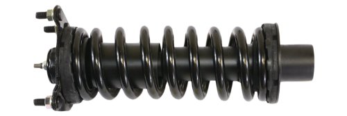 Struts Gabriel G57007