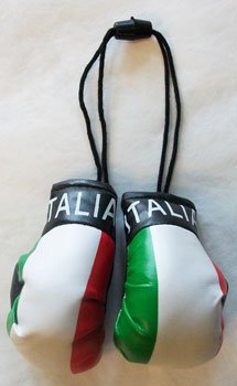 Boxing Gloves Flagline 