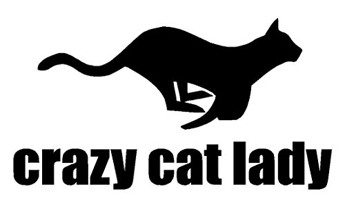 Bumper Stickers, Decals & Magnets Sassy Stickers crazy-cat-lady-sassy-1