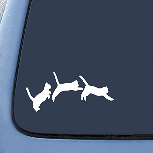 Bumper Stickers, Decals & Magnets Bargain Max Decals BM-MPR-38