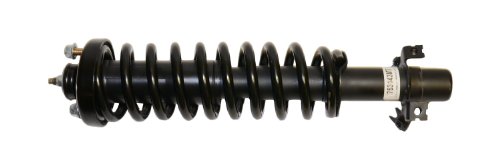 Struts Gabriel G56993