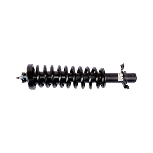 Struts Gabriel G56994