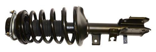Struts Gabriel G57038