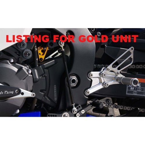 Controls Sato Racing H-CBR109RSA-GD