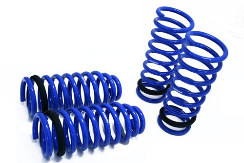 Coil Springs Megan Racing MRLS-LG4981