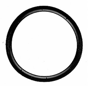 Thermostat Seals Victor Reinz C31273