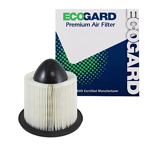 Air Filters EcoGard XA4878