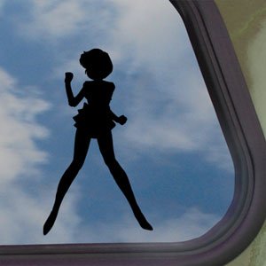 Bumper Stickers, Decals & Magnets  OT110BK