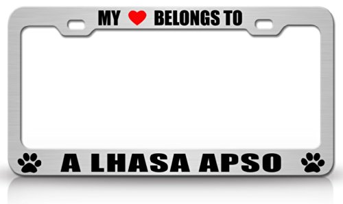 MY HEART BELONGS TO A LHASA APSO Dog Pet Steel Metal Auto License Plate Frame Tag Holder, Chrome/Black Frames Tag Xpress fdog00005134