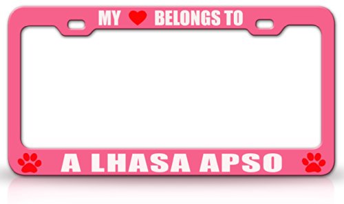 Frames Tag Xpress fdog00005812