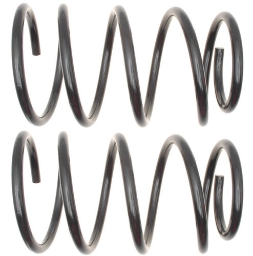 Raybestos 585-1449 Professional Grade Coil Spring Set Coil Springs Raybestos 585-1449