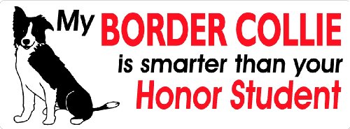 Bumper Stickers, Decals & Magnets stickersforeveryone a-19