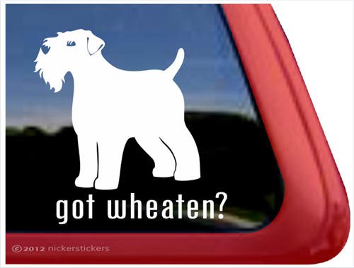 Bumper Stickers, Decals & Magnets NickerStickers DC834GOT