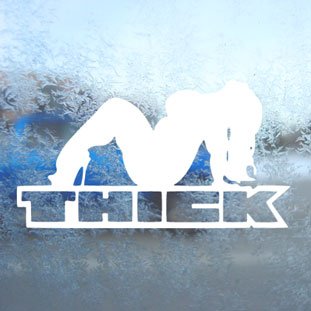 THICK CHICK White Decal Car Laptop Window Vinyl White Sticker Bumper Stickers, Decals & Magnets WD153WE