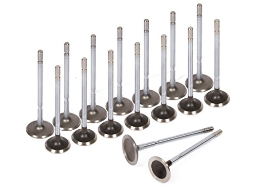 Intake Valves Evergreen Parts And Components HS5020