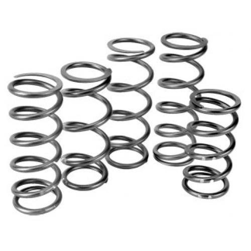 Springs Speedwerx CCH5-B-165-310