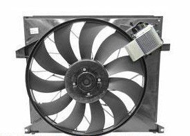 Fans Genuine 1635000393