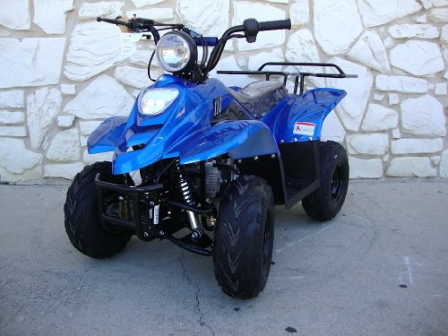 Vehicles TAO TAO atv-110b