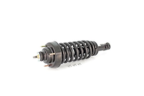 Unity Automotive 15060 Complete Strut Assembly, Rear Struts UNITY AUTOMOTIVE 15060