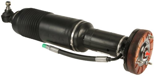 Body Control Computers Arnott W0133-1939282-ARN