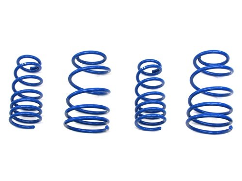 Coil Springs M2 Performance GSPR-NSE0106-BL
