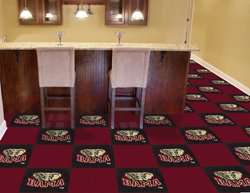 Carpeting Fanmats 8524