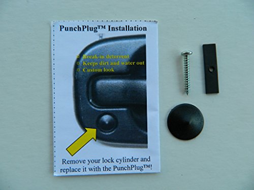 Antitheft PunchPlug 12501