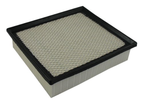 Air Filters Pentius PAB10755