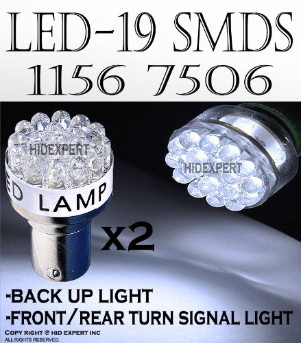 LED Bulbs  19LEDWHITE