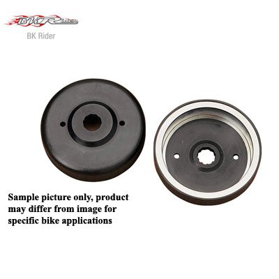 Voltage Regulators BKRider ZZ DS195206