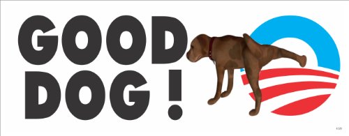 Bumper Stickers, Decals & Magnets  4120