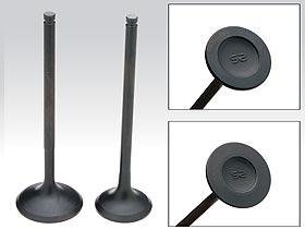 Intake Valves Skunk2 Racing 310-05-2540