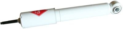 Shocks & Struts  