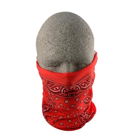Face Masks Zanheadgear T106-AD