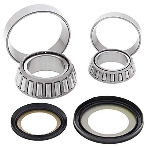 STEERING STEM BEARING KIT, Manufacturer: ALL BALLS, Part Number: AB221025-AD, VPN: 22-1025-AD, Condition: New Bearings All Balls 22-1025-OCP